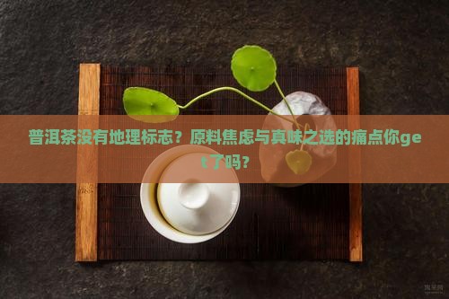 普洱茶没有地理标志