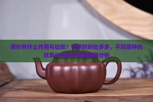 茶叶有什么作用与功效茶叶好处多