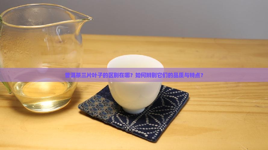 普洱茶三片叶子区别在哪