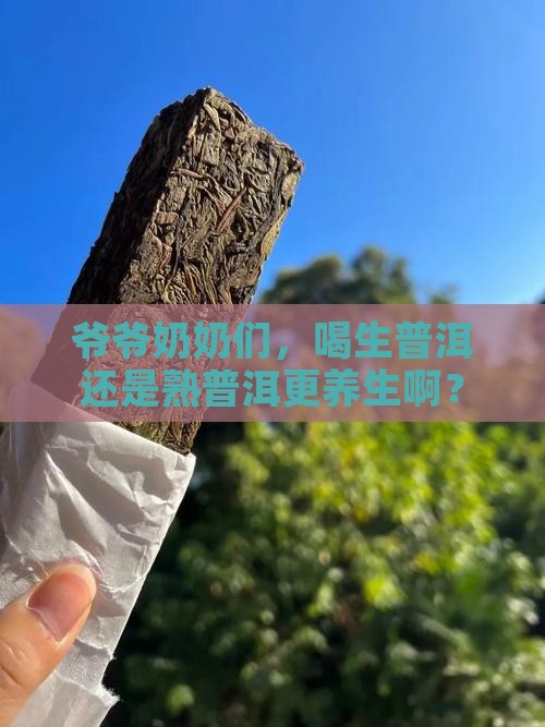 老人喝生普洱还是熟普洱