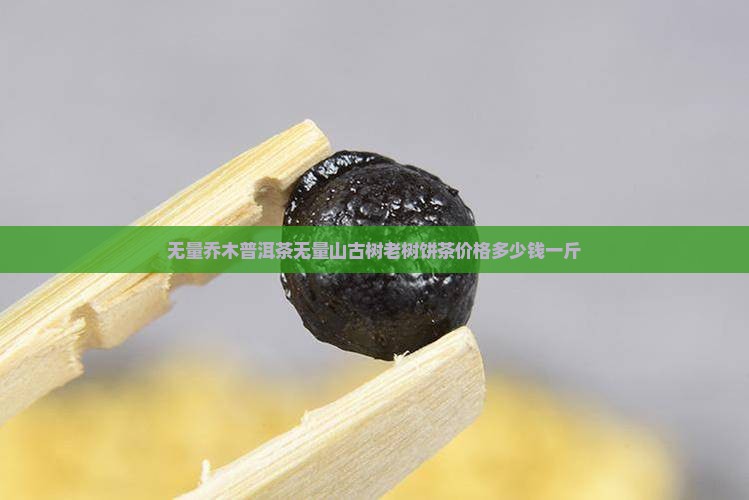 无量乔木普洱茶