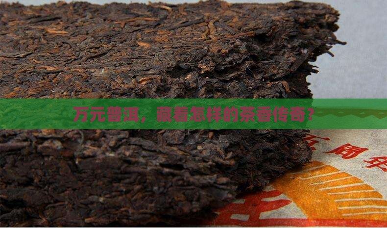 万元茶叶普洱茶