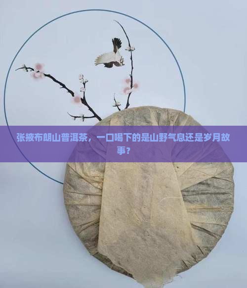 张掖布朗山普洱茶