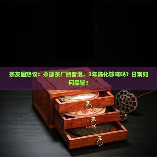 晟韵普洱茶饼熟茶永德茶厂