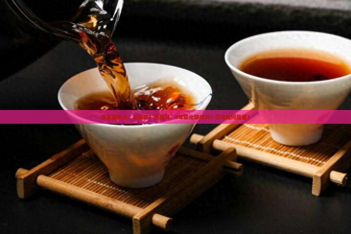 晟韵普洱茶饼熟茶永德茶厂