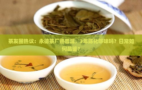 晟韵普洱茶饼熟茶永德茶厂