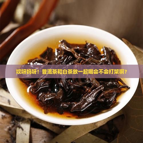 普洱茶对白茶有什么危害
