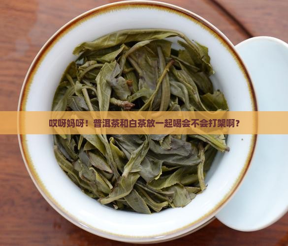 普洱茶对白茶有什么危害