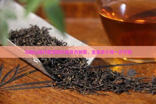 马鞍山高杆普洱茶