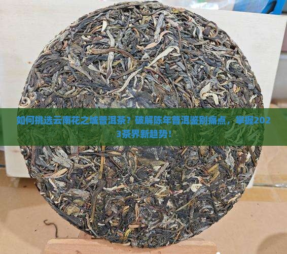 云南花之城普洱茶