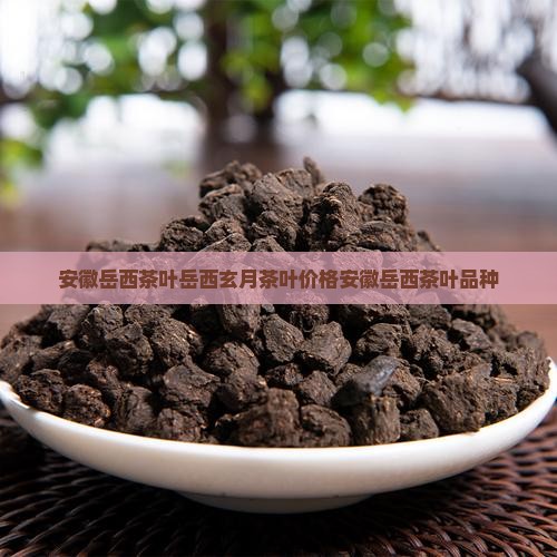 安徽岳西茶叶岳西玄月茶叶价格