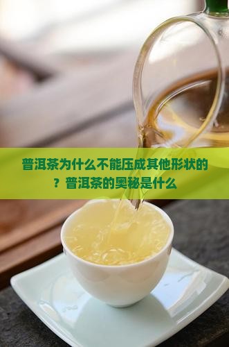 普洱茶只能压成饼状吗