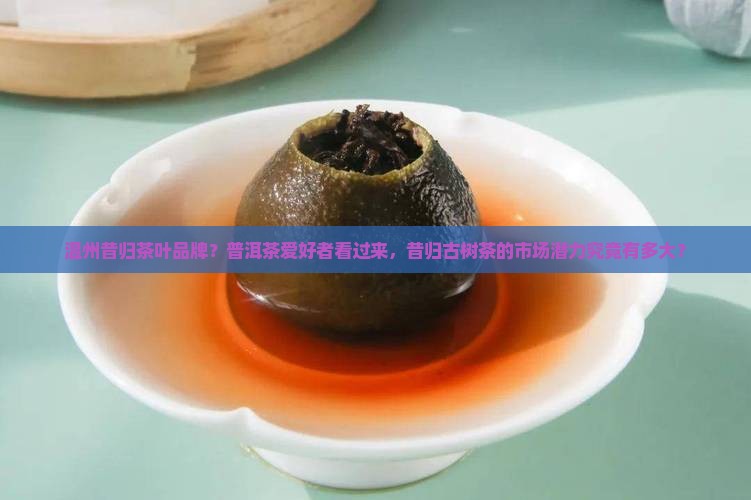 温州昔归茶叶品牌 温州昔归茶叶品牌