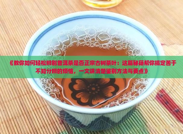 普洱茶怎么看是不是古树茶叶