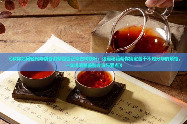 普洱茶怎么看是不是古树茶叶