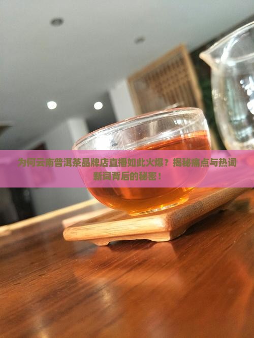 云南普洱茶品牌店直播