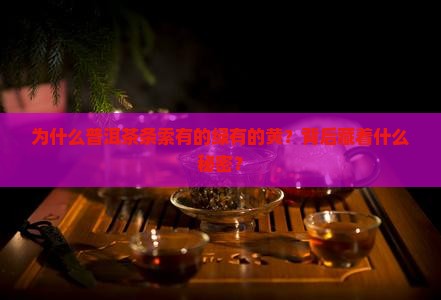 普洱茶条索为什么有的绿有的黄