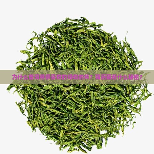 普洱茶条索为什么有的绿有的黄