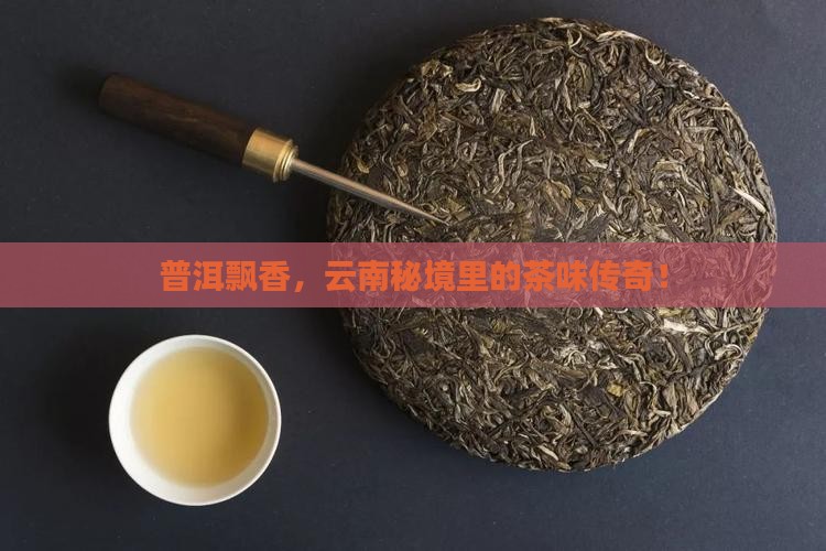 云南普洱茶天下