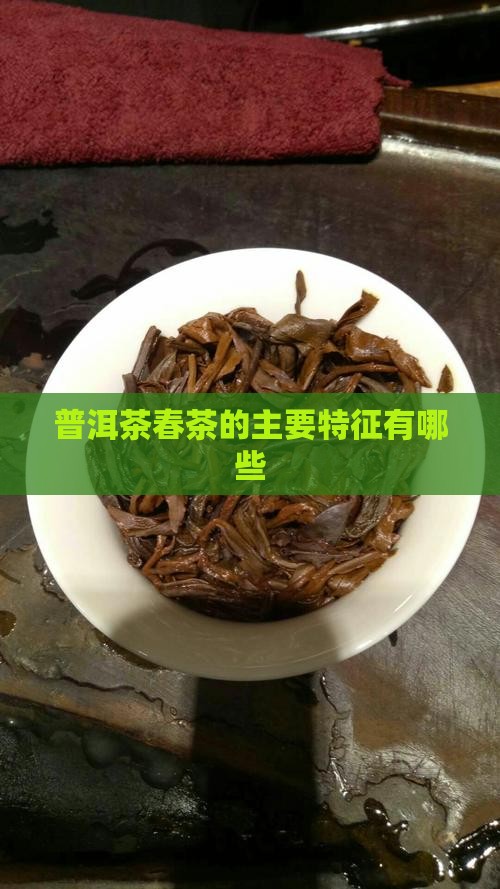 普洱茶春茶主要特征有哪些