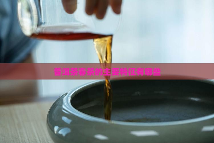 普洱茶春茶主要特征有哪些