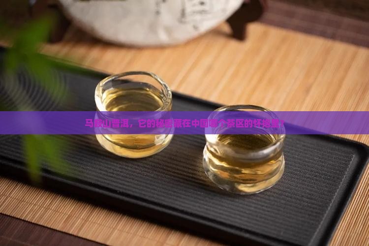 马鞍山普洱茶属于哪个茶区管
