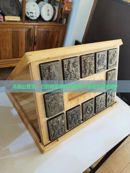 马鞍山普洱茶属于哪个茶区管