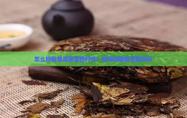 怎么辨别普洱茶是否好坏
