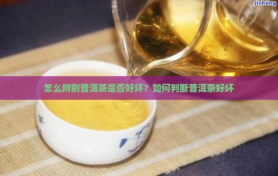 怎么辨别普洱茶是否好坏