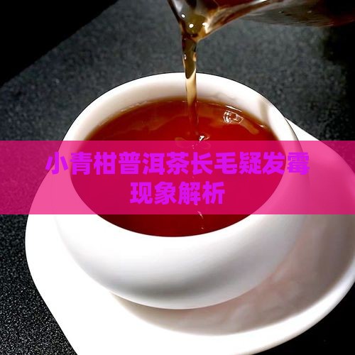 小青柑普洱茶长毛了