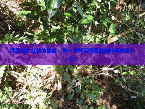 英红茶各号有什么区别