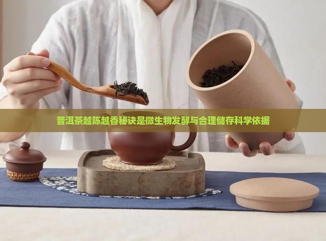普洱茶越陈越香秘诀是 普洱茶越陈越香秘诀是