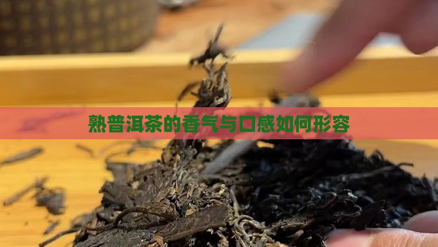 熟普洱茶香气怎么形容
