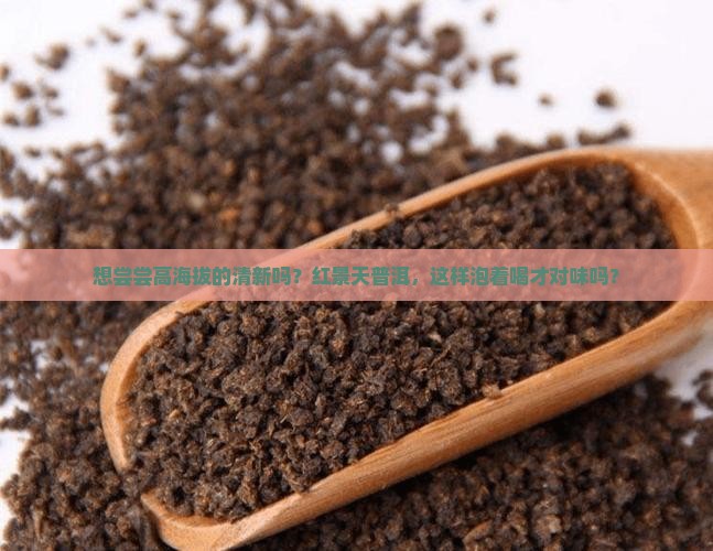 红景天普洱茶泡茶喝吗