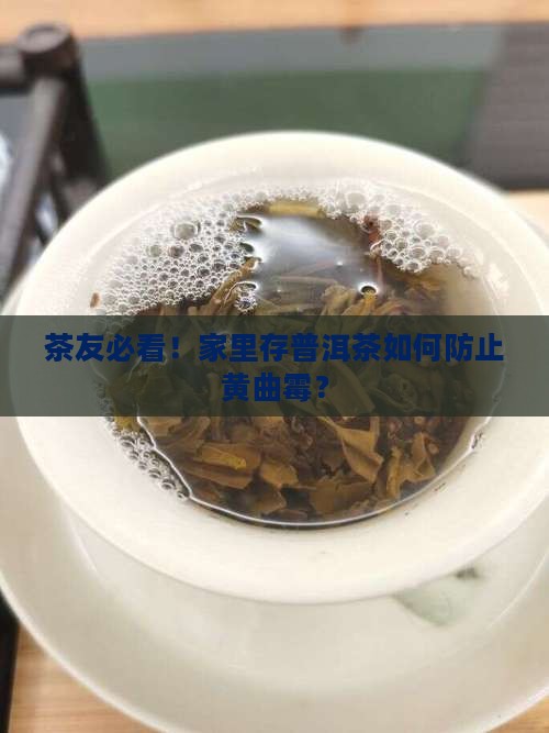 普洱茶怎样避免黄曲霉