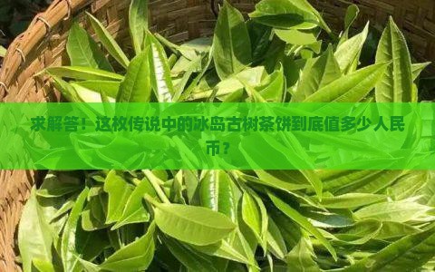 正宗冰岛古树茶饼价格多少