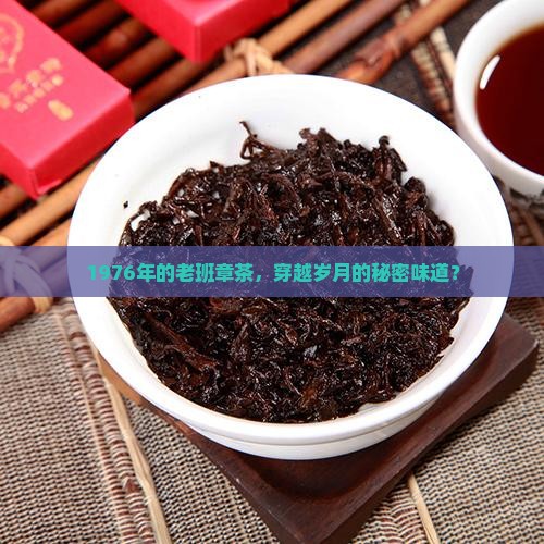 76年的老班章茶