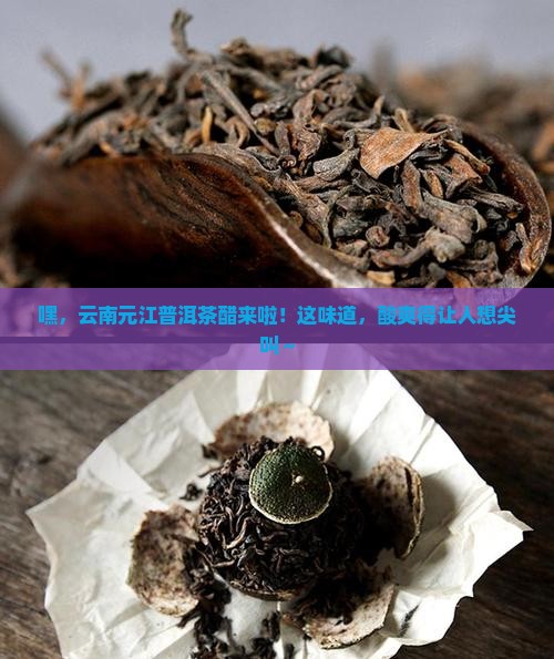 云南元江普洱茶醋