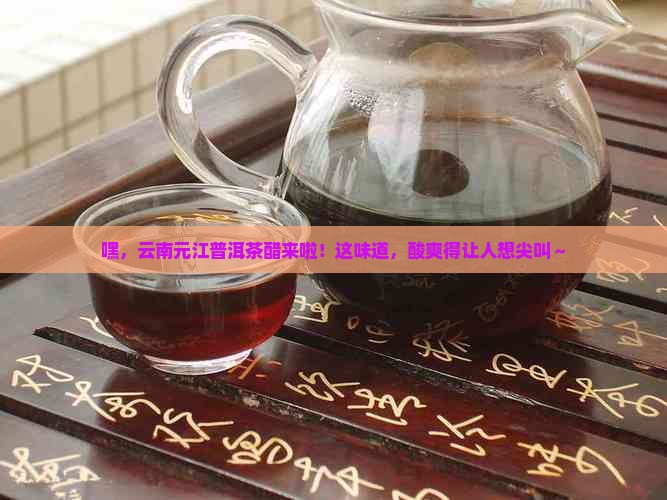 云南元江普洱茶醋