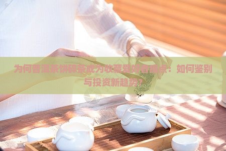 普洱茶饼的碎茶