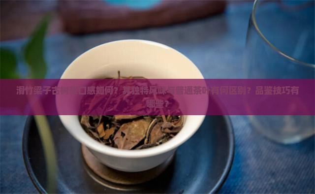 滑竹梁子古树茶口感特点
