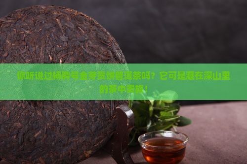 杨聘号金芽贡饼普洱茶官网