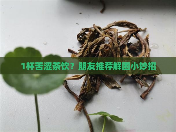 什么茶有点点苦