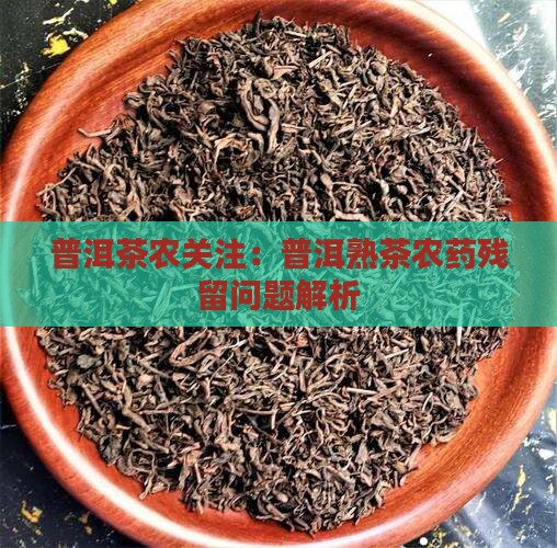 普洱茶熟茶农药残留