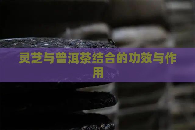 黑灵芝冲泡普洱茶功效