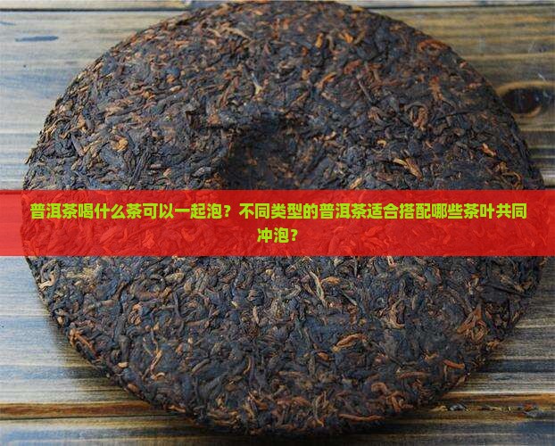 普洱茶喝什么茶可以一起泡