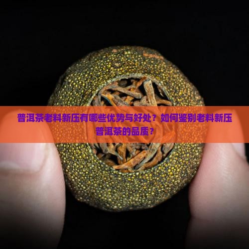 普洱茶老料新压好处 普洱茶老料新压好处