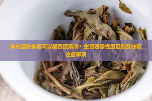 体内湿热能喝普洱茶吗
