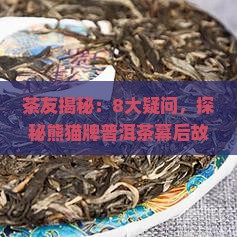 熊猫牌普洱茶纪录片