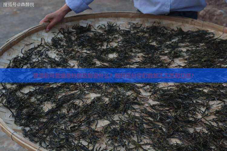 普洱茶与普通茶叶区别是什么 普洱茶与普通茶叶区别是什么